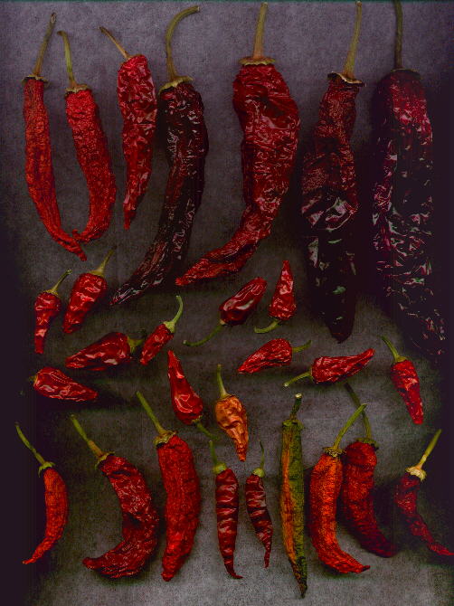 Our dried 1997 peppers (68KB Image)